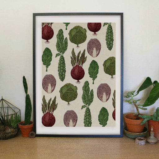  - A2-Cabbages-511x511